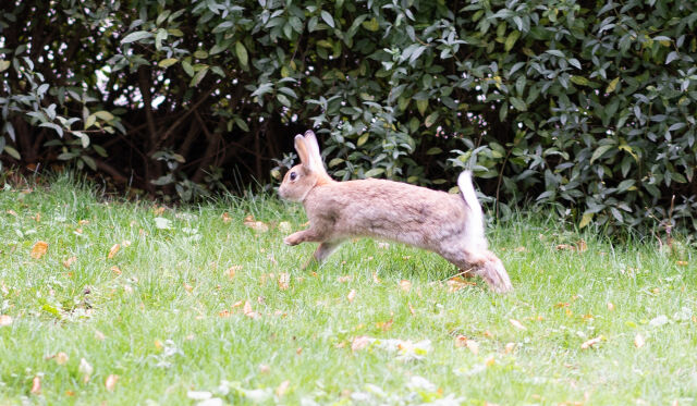 Be cautious as a rabbit, jump into it only if you have good reasons to do so.